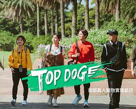 黑料吃瓜网曝一区二区《TOP DOG》免费在线观看