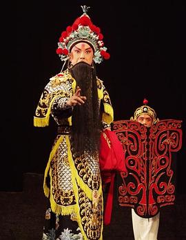 黑料吃黑瓜《袁崇焕2009》免费在线观看