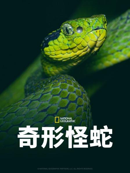 黑料吃黑瓜《奇形怪蛇》免费在线观看